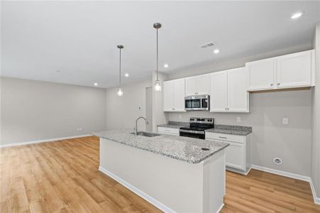 New construction Single-Family house 223 Sage Woods Wy, Dallas, GA 30132 plan Jensen - image 10