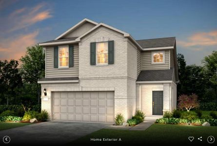 New construction Single-Family house 5113 Monarda Mint Dr, Austin, TX 78654 - image