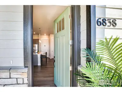 New construction Townhouse house 6789 Maple Leaf Dr, Timnath, CO 80547 - image