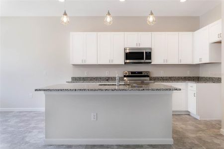 New construction Single-Family house 3791 Watercliff Cir, Grand Island, FL 32735 - image 7
