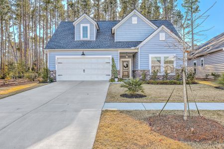 New construction Single-Family house 1390 Locals St, Summerville, SC 29485 plan Collins - image