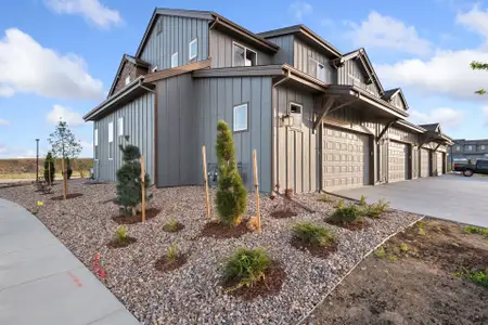 New construction Townhouse house 6227 Vernazza Wy, Unit 1, Windsor, CO 80550 plan Avalon - image 2