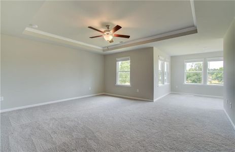 New construction Single-Family house 250 Arnewood Cir, Mcdonough, GA 30253 Drayton- photo 21 21