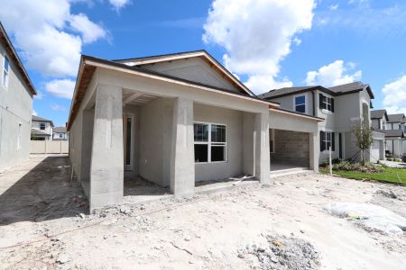 New construction Single-Family house 33227 Amling Pecan Br, Wesley Chapel, FL 33545 Newport II- photo 0 0