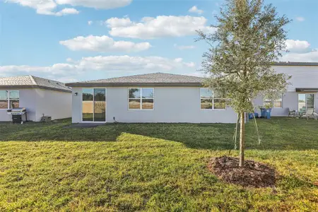 New construction Single-Family house 891 Sand Sea Pl, Haines City, FL 33844 plan Hibiscus - image