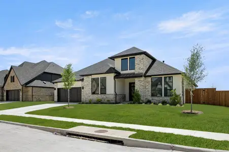 New construction Single-Family house 2315 Meek Woods Ln, Mansfield, TX 76063 plan Elliot - image