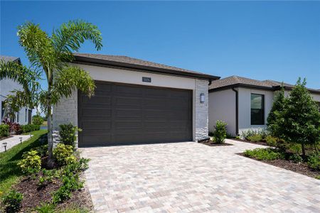 New construction Single-Family house Apollo Beach, FL 33572 - image