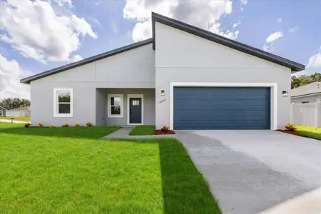 New construction Single-Family house 16057 Sw 17Th Ave, Ocala, FL 34473 - image