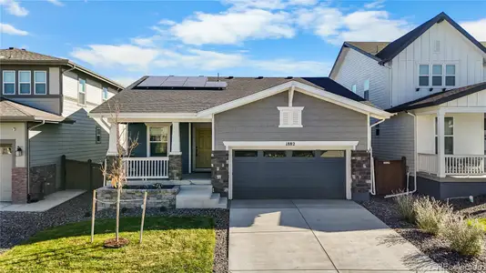 New construction Single-Family house 1882 Spotted Owl Ct, Brighton, CO 80601 - image