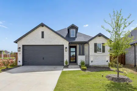 New construction Single-Family house 3717 American Paint Dr, Aubrey, TX 76227 - image