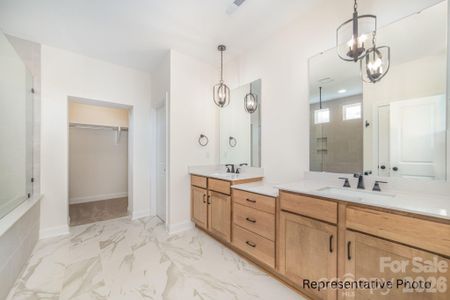 New construction Single-Family house 4172 Millstream Rd, Unit 137, Denver, NC 28037 - image 10