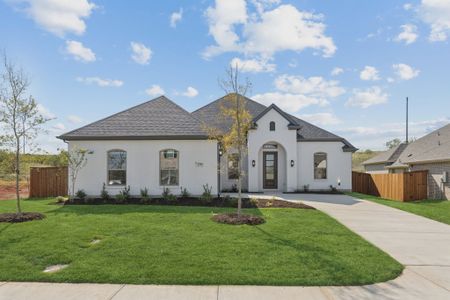 New construction Single-Family house 1110 Greenfield St, Midlothian, TX 76065 plan Alpine - image