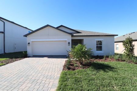 New construction Single-Family house 12227 Hilltop Farms Dr, Dade City, FL 33525 Sentinel- photo 102 102