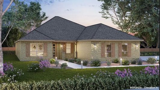 New construction Single-Family house Double Eagle Ranch Dr, Cedar Creek, TX 78612 - photo 0