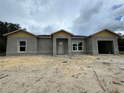 New construction Single-Family house 1317 Hillsborough Ct, Kissimmee, FL 34759 Rosario- photo 2 2