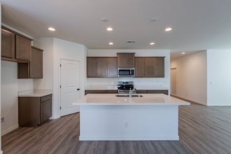 New construction Single-Family house 24144 W Gibson Ln, Buckeye, AZ 85326 Castillo Series - Clover- photo 16 16