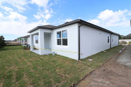 New construction Single-Family house 3150 Adams Cross Dr, Zephyrhills, FL 33540 Miranda- photo 106 106