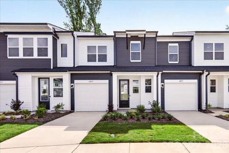 New construction Townhouse house 6049 Longar Ln, Charlotte, NC 28269 plan Anson - image