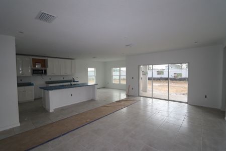 New construction Single-Family house 38350 Tobiano Loop, Dade City, FL 33525 Cabo- photo 89 89