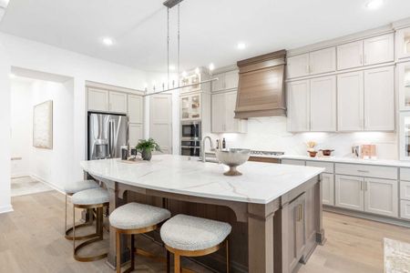 New construction Single-Family house 2036 Grey Birch Pl, Aledo, TX 76008 plan 222 - image 9