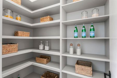 New construction Single-Family house 5104 W Platt St, Tampa, FL 33609 - image 19