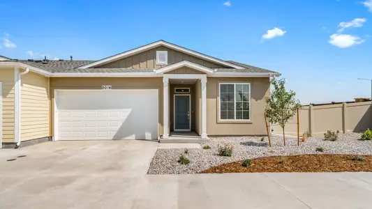 New construction Single-Family house 4964 N Tempe St, Aurora, CO 80019 plan Capri - image