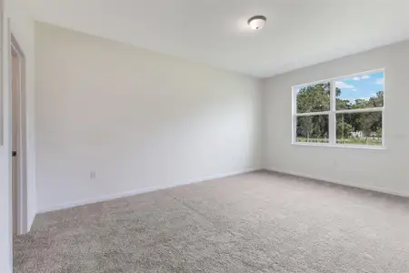 New construction Single-Family house 3788 Watercliff Cir, Grand Island, FL 32735 - image 10