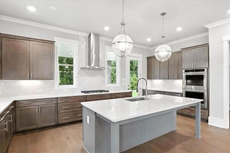 New construction Single-Family house 95 Old Town Rd, Monroe, GA 30656 - image 5