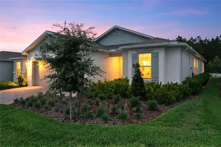 New construction Single-Family house 2546 Del Webb Dr, Minneola, FL 34715 - image