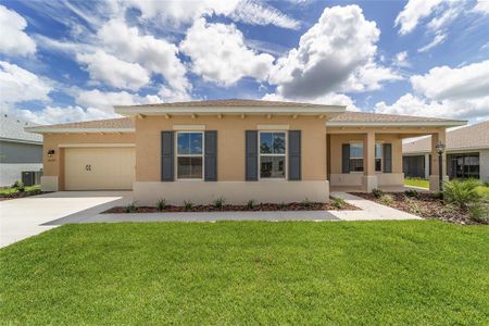 New construction Single-Family house 10135 Sw 106Th Cir, Ocala, FL 34481 - image