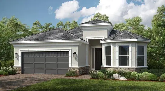 New construction Single-Family house 29825 Imperati Blvd, Wesley Chapel, FL 33543 Lazio- photo 0