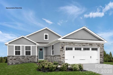 New construction Single-Family house 204 Maggys Wy, Unit 1411, Pageland, SC 29728 - image