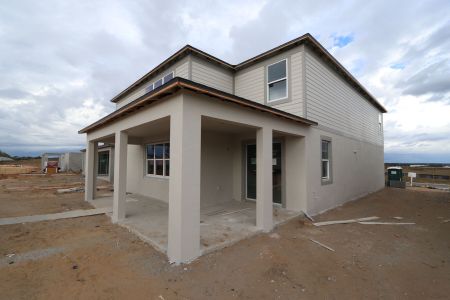 New construction Single-Family house 38338 Tobiano Loop, Dade City, FL 33525 Mira Lago- photo 89 89