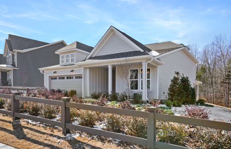 New construction Single-Family house 1029 Waxhaw Crossing Dr, Waxhaw, NC 28173 plan Mystique - image