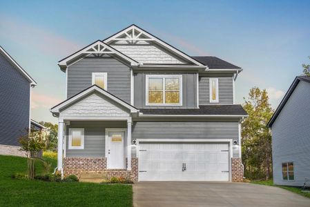 New construction Single-Family house 1012 Fox Dr, Nashville, TN 37221 plan Maui - image 19