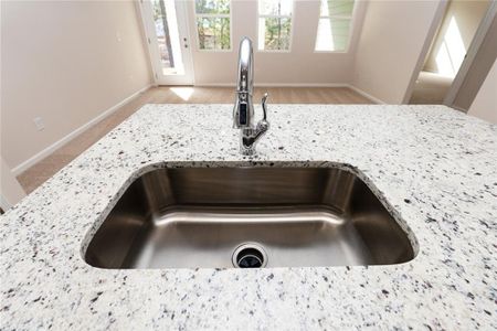 New construction Single-Family house 189 Hydrangea Ct, Dallas, GA 30132 Augusta- photo 8 8