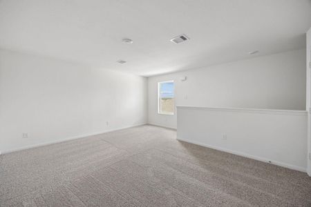 New construction Single-Family house 25186 Pomegranate Pl, Montgomery, TX 77316 - image 8
