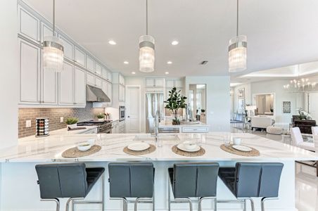 Hampton Lakes by Medallion Home in Sarasota - photo 21 21