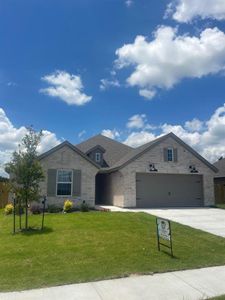 New construction Single-Family house 133 Joel St, Springtown, TX 76082 - image