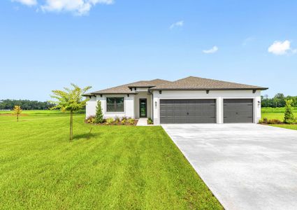 New construction Single-Family house 13408 Lake Gallagher Dr, Dover, FL 33527 plan Palm Beach - image