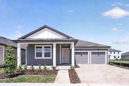 New construction Single-Family house 30131 Emerald Forest Dr, Mount Dora, FL 32757 - image