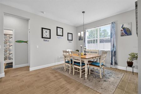 New construction Single-Family house 17 Ferngate Ln, Palm Coast, FL 32137 - image 8
