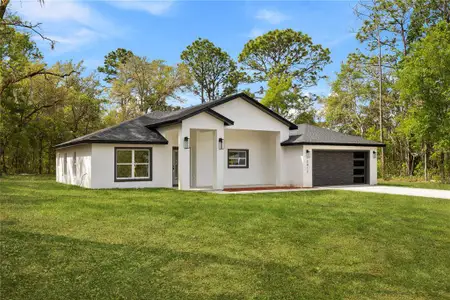 New construction Single-Family house 2812 W Gaspar Dr, Dunnellon, FL 34433 - image