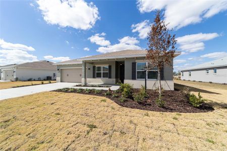 New construction Single-Family house 10140 Sw 106Th Cir, Ocala, FL 34481 plan Ariana - image