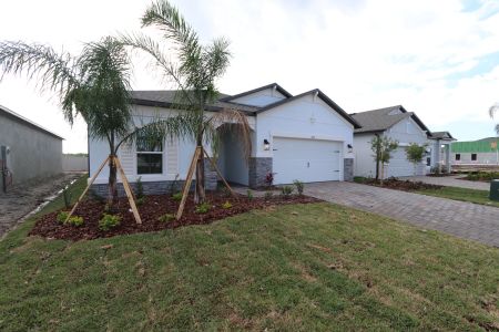 New construction Single-Family house 3150 Adams Cross Dr, Zephyrhills, FL 33540 Miranda- photo 102 102