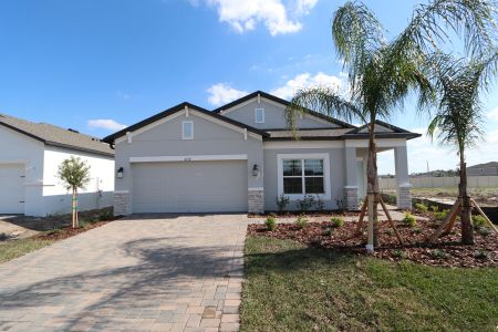 New construction Single-Family house 3142 Adams Cross Dr, Zephyrhills, FL 33540 Picasso- photo 97 97