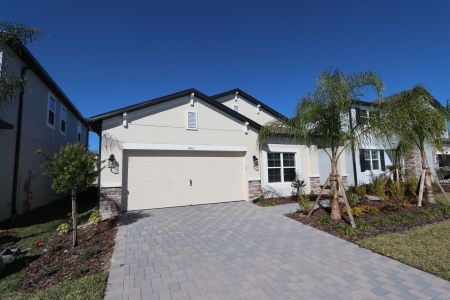 New construction Single-Family house 4763 Beachrose Way, Lakeland, FL 33811 Picasso- photo 42 42