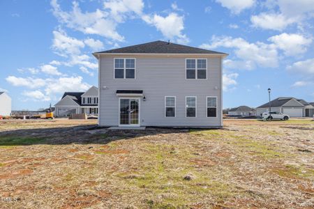 New construction Single-Family house 77 Littlefield Ln, La Grange, NC 28551 - image 4