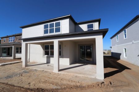 New construction Single-Family house 38338 Tobiano Loop, Dade City, FL 33525 Mira Lago- photo 97 97