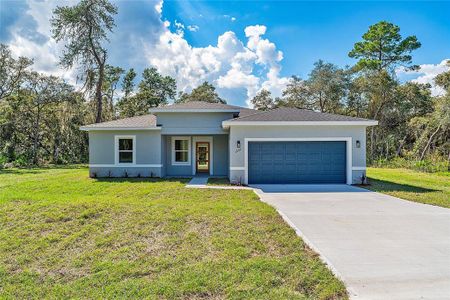 New construction Single-Family house 2864 Sw 161 Loop, Ocala, FL 34473 - photo 0